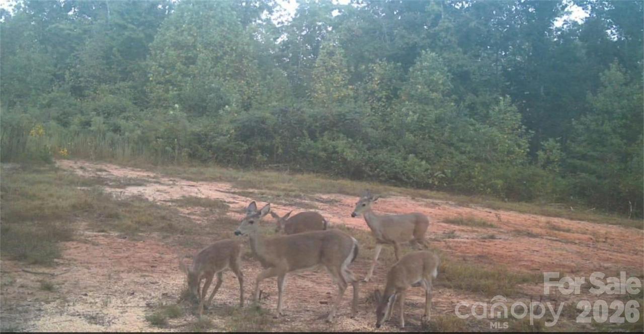 4204 Bennett Rd., Morganton, NC 28655