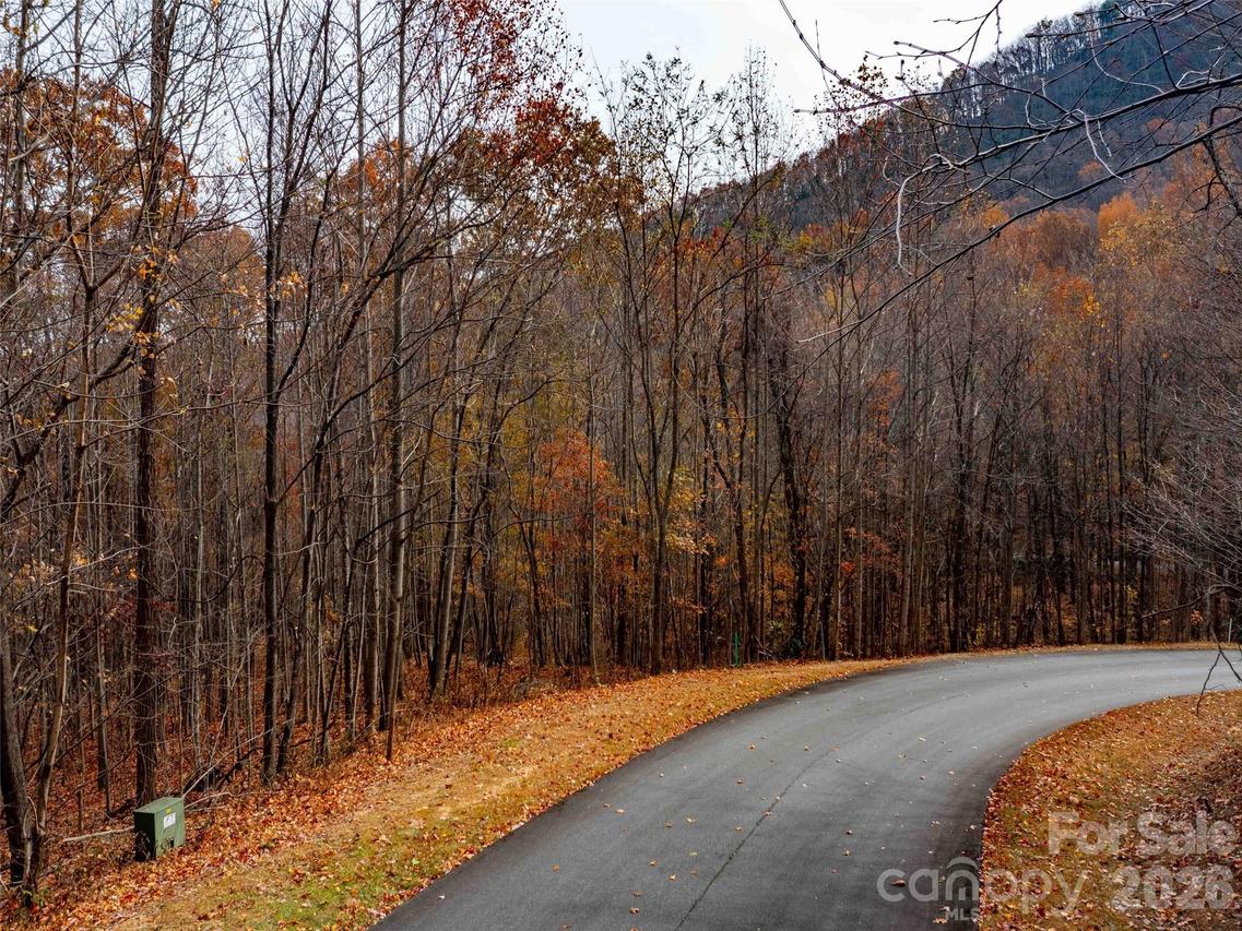 Lot 2110 Harm Creek Loop, Mill Spring, NC 28756
