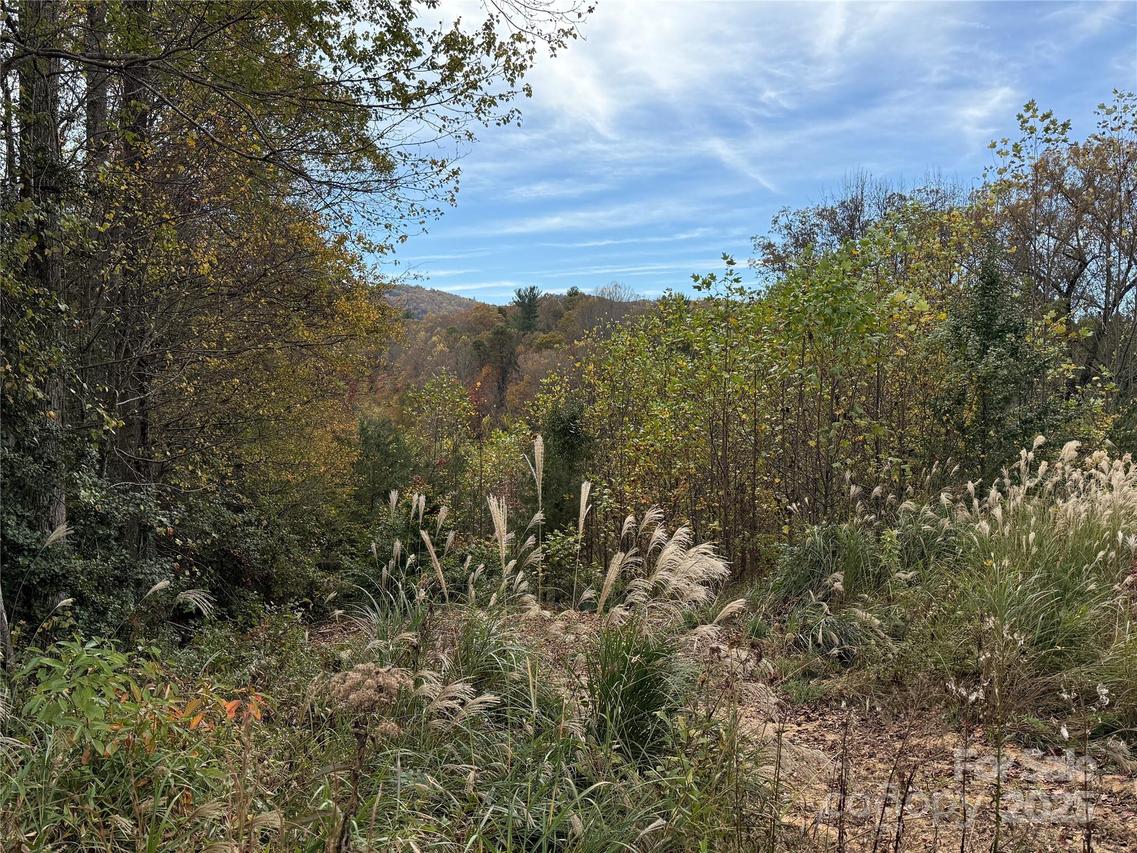 Lot # 2 West Legacy Dr. #2, Hendersonville, NC 28739