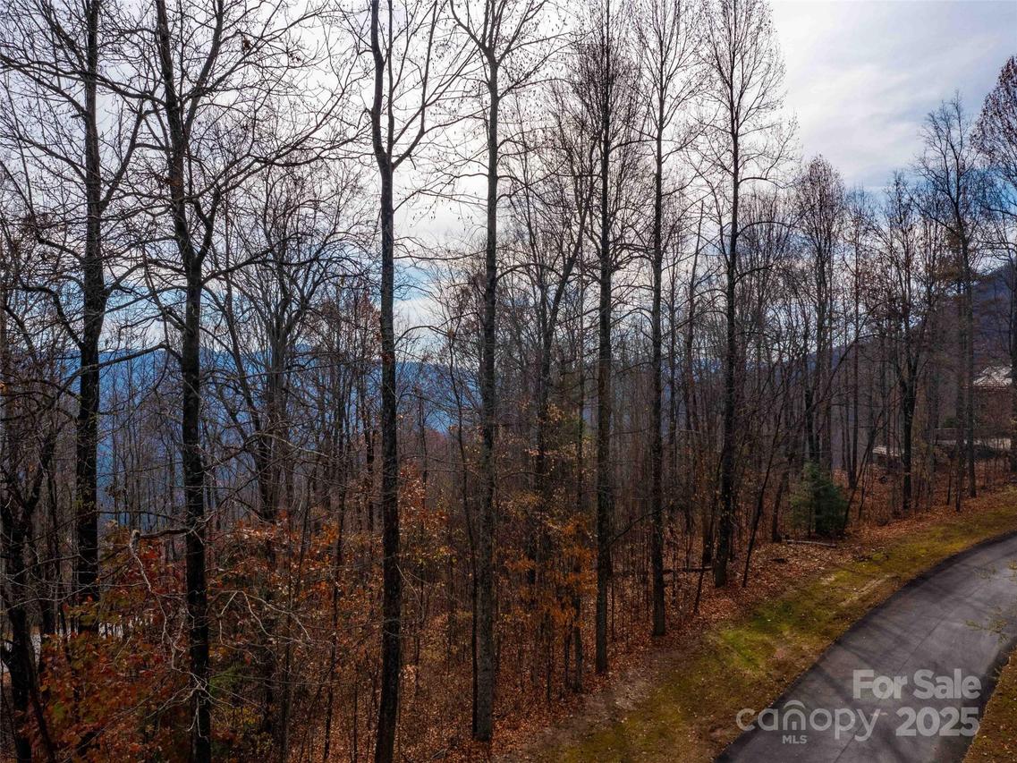 Lot 253 Haddington Dr., Mill Spring, NC 28756