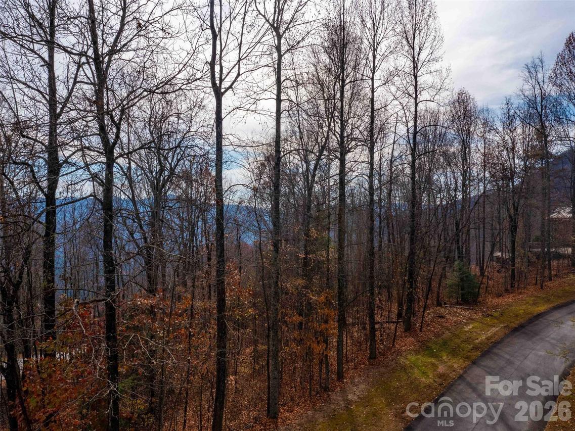 Lot 253 Haddington Dr., Mill Spring, NC 28756