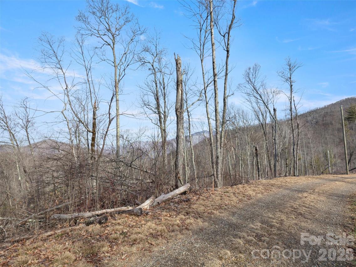 TBD S Ridge Runner Rd., Burnsville, NC 28714
