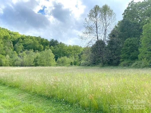 99999 Brevard Rd., Hendersonville, NC 28792