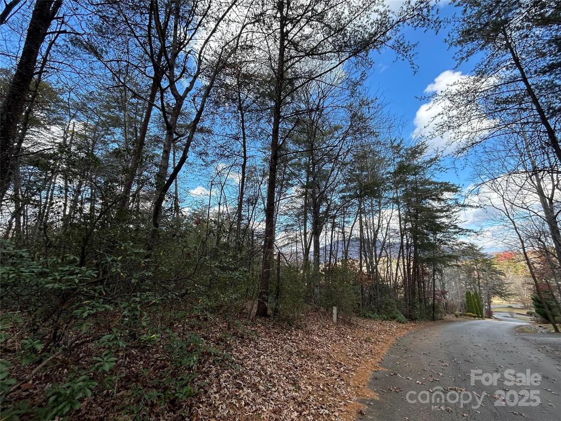 Raleigh Dr. #2, Lake Lure, NC 28746
