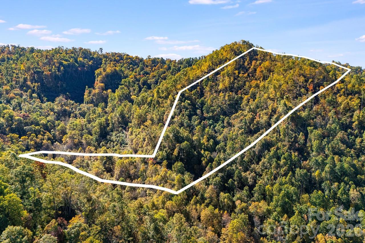 000 Hamburg Rd. #17, Mars Hill, NC 28754