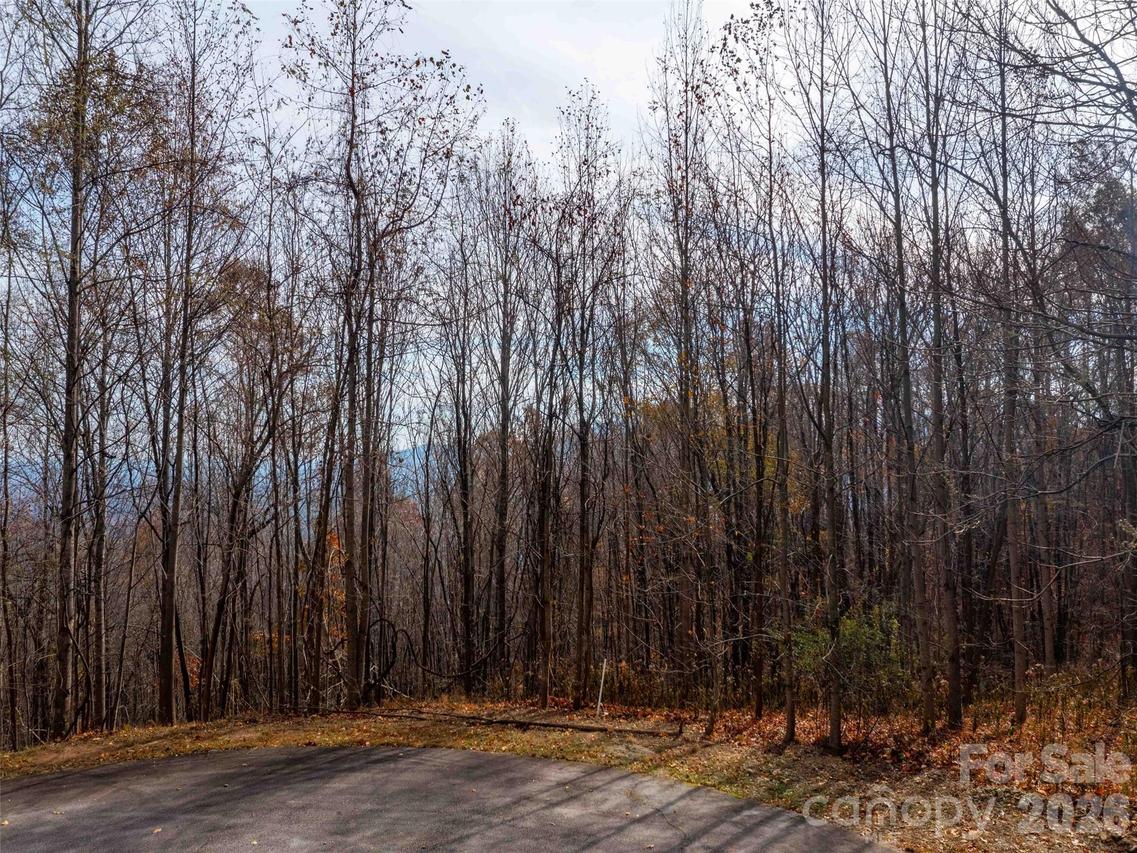 242 Nottingham Dr., Mill Spring, NC 28756