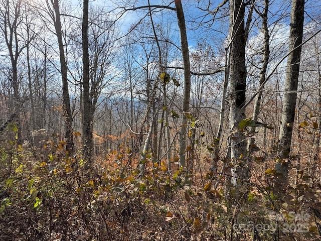 50 Scenic Wolf Ridge Rd., Mars Hill, NC 28754