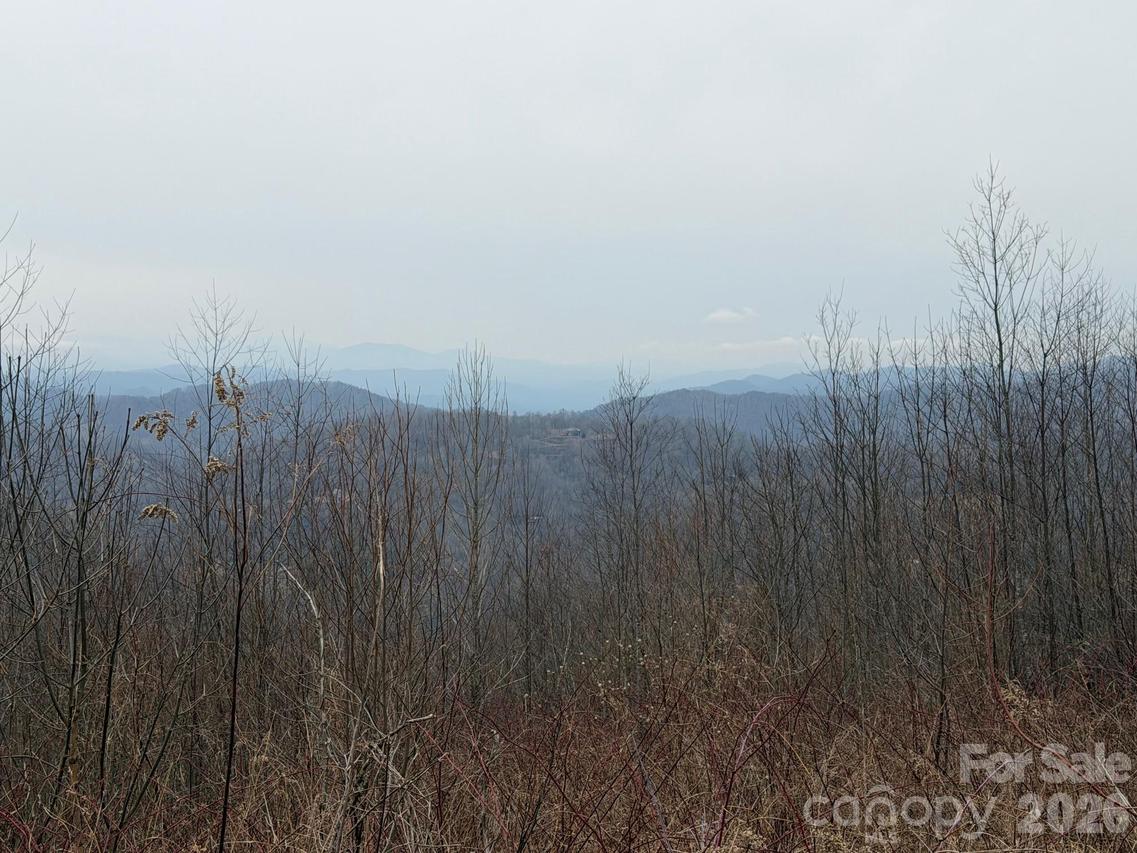 50 Scenic Wolf Ridge Rd., Mars Hill, NC 28754