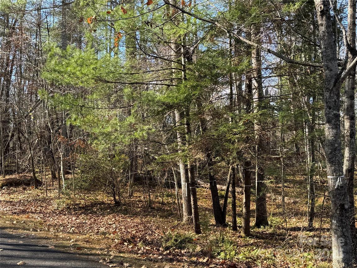 137 Nancy Ashworth Ln. #13, Fairview, NC 28730