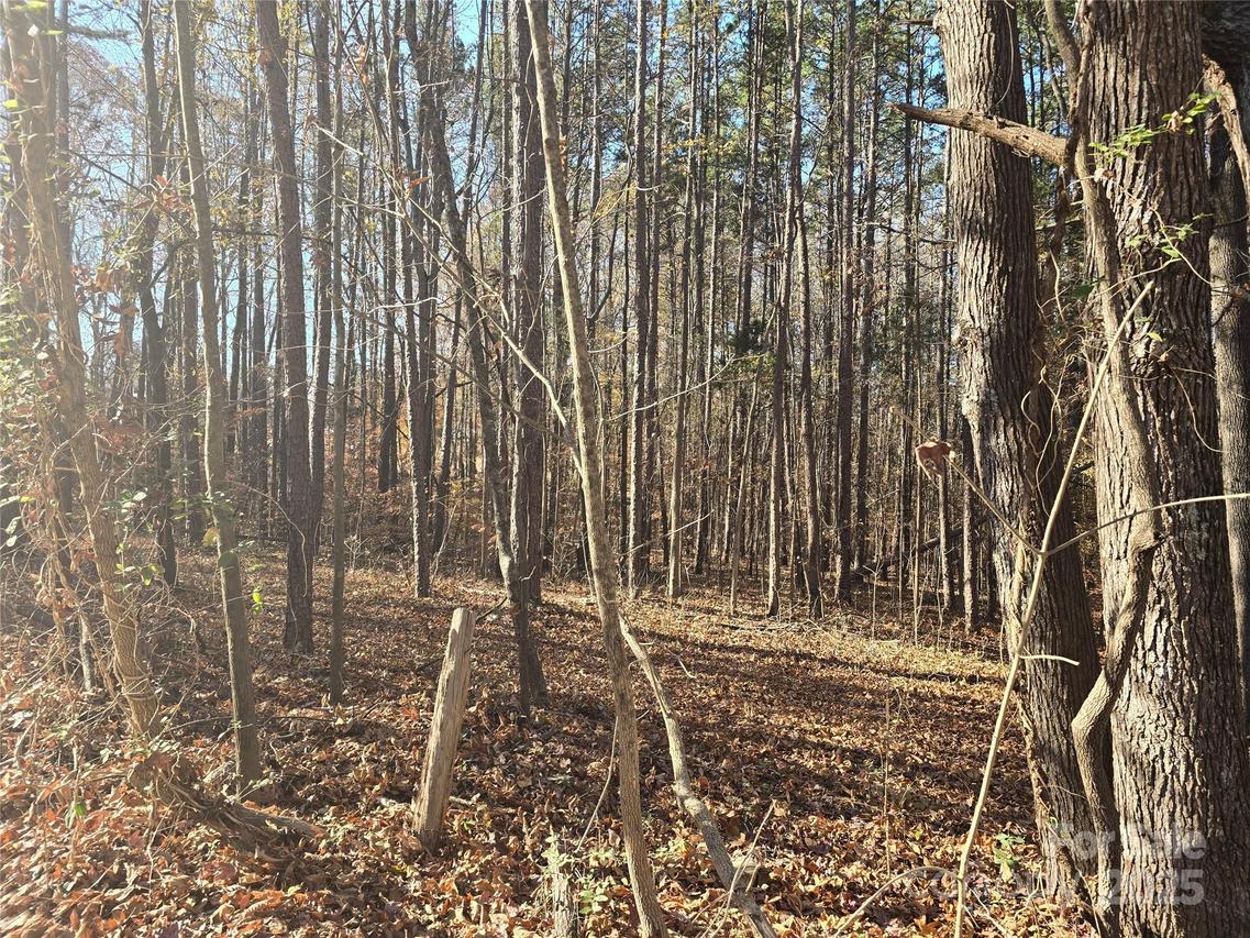 00 Shuffler Woods Rd., China Grove, NC 28023