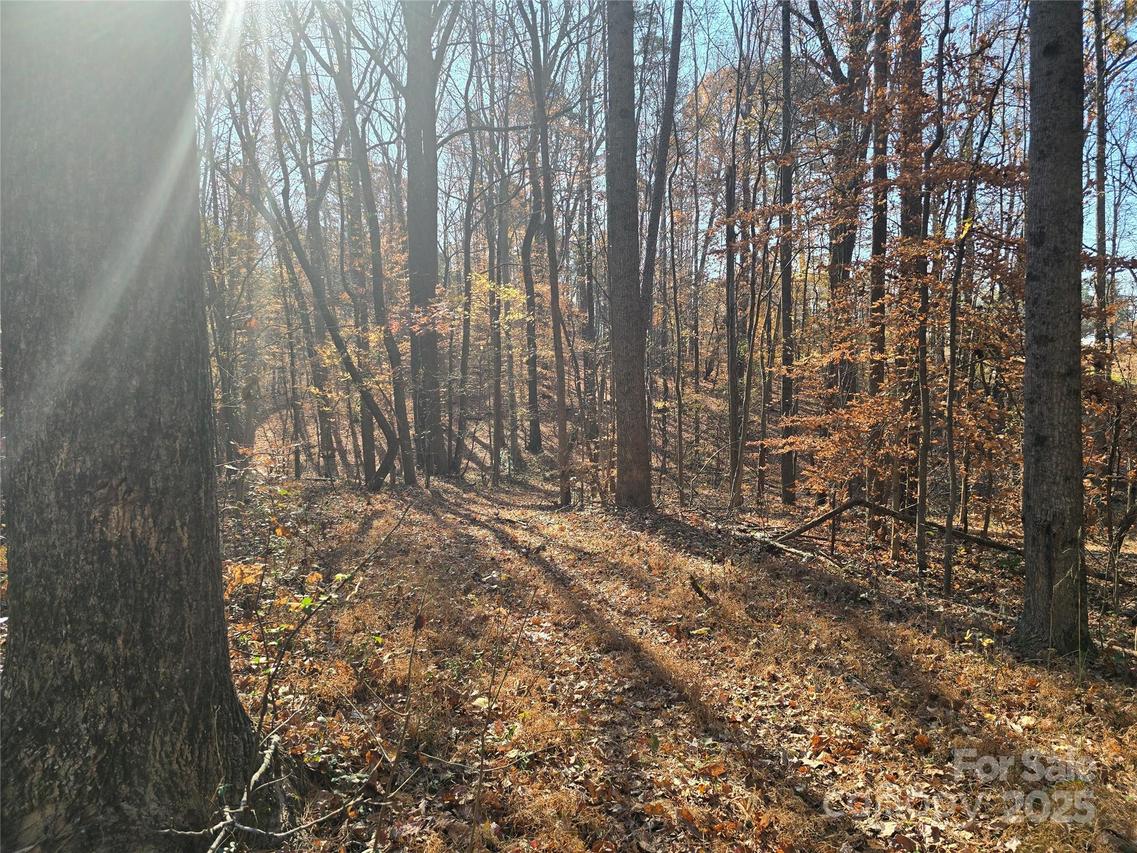 000 Shuffler Woods Rd., China Grove, NC 28023