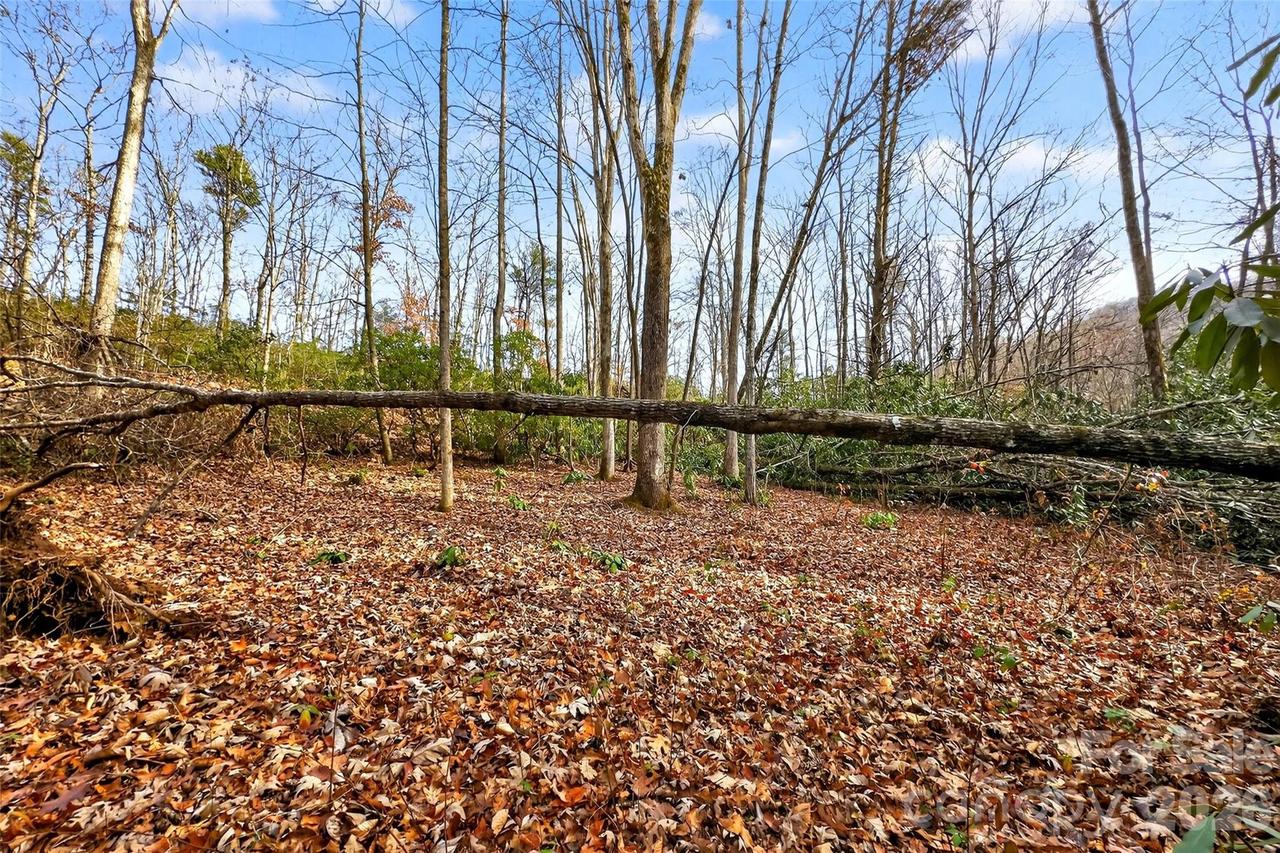 172 Crimson Dr. #995, Old Fort, NC 28762