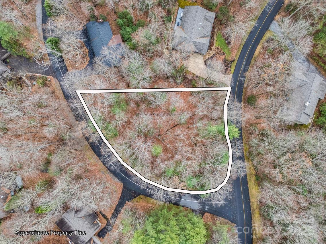 TBD Ossarooga Ct. #Lot 29/Unit 6, Brevard, NC 28712