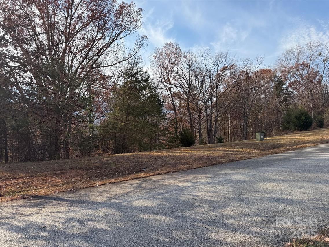 99999 Chestertown Dr., Mill Spring, NC 28756