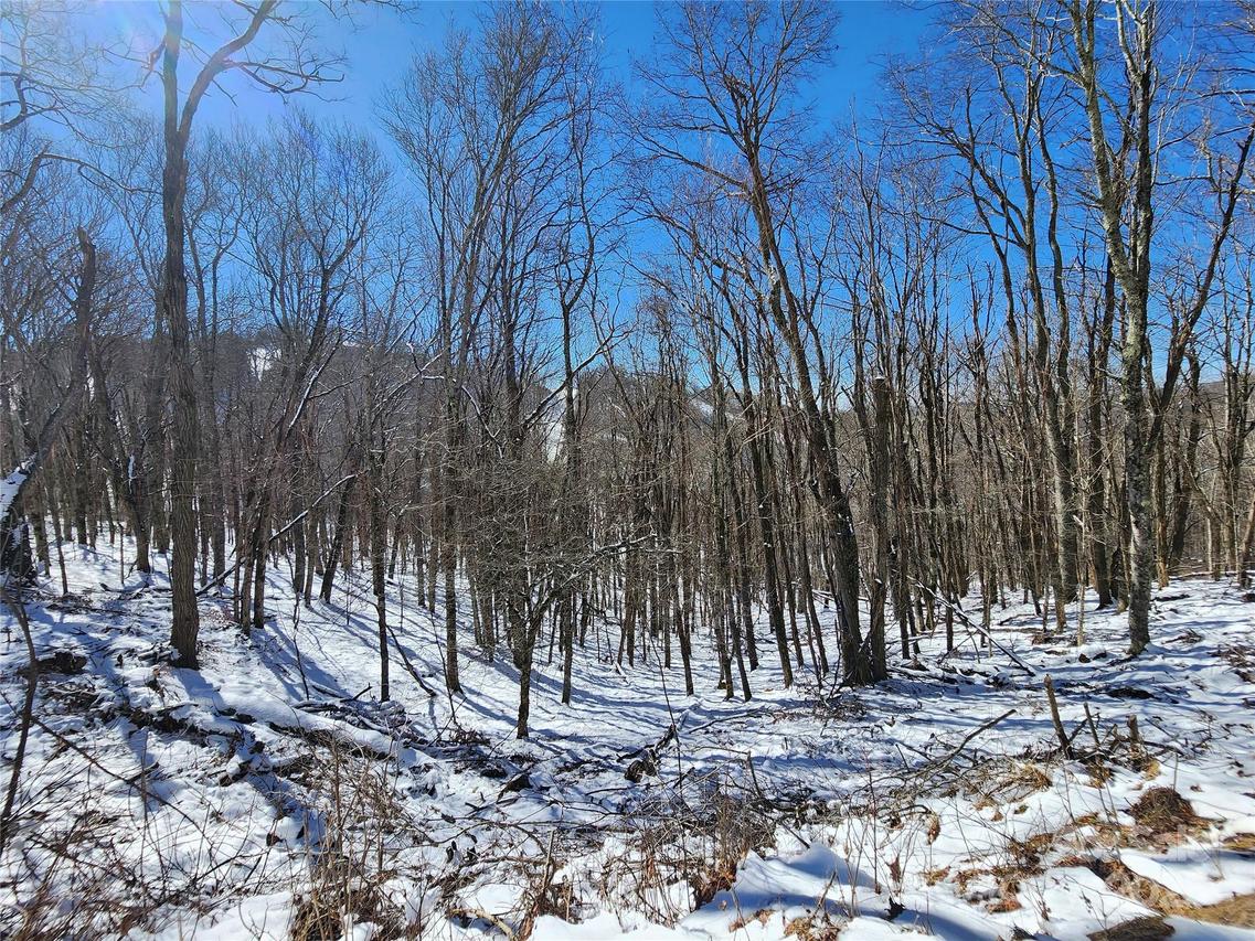 479 El Miner Dr., Mars Hill, NC 28754