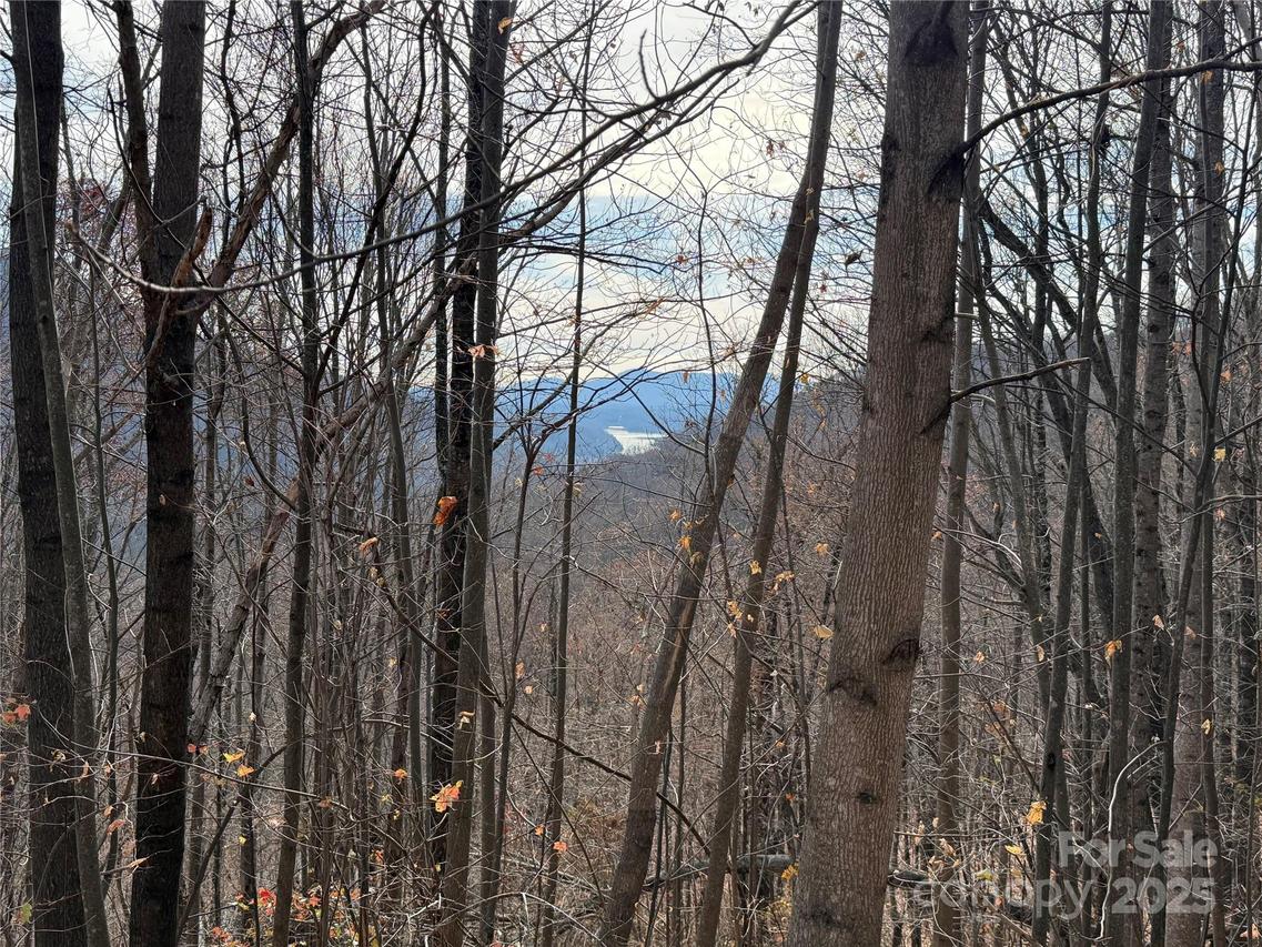 Lot 375 Rolling Ridge Tr., Lake Lure, NC 28746