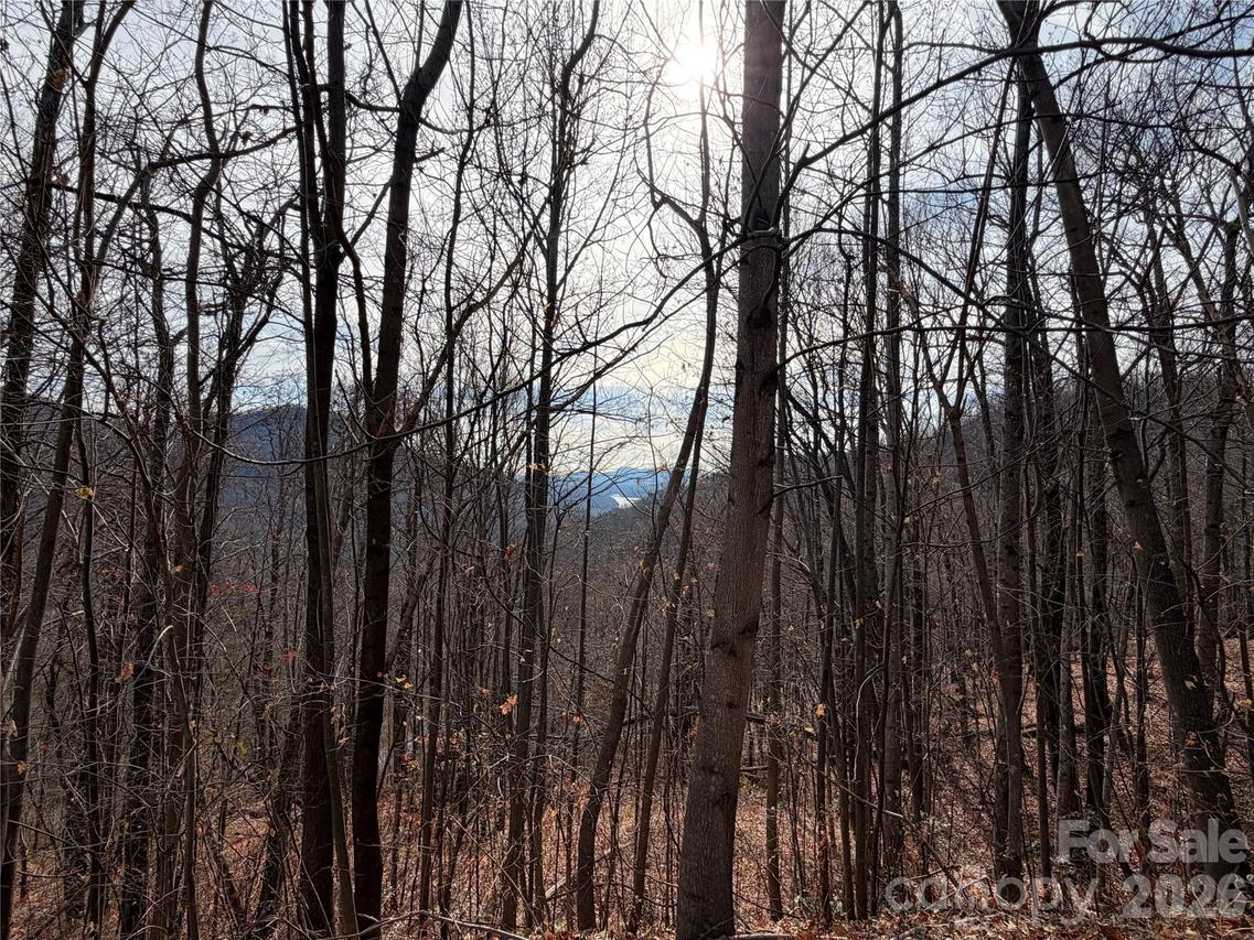Lot 375 Rolling Ridge Tr., Lake Lure, NC 28746