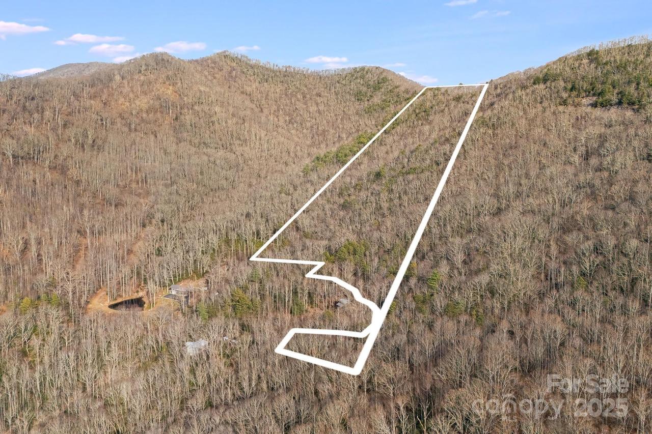 99999 Walker Mountain Ln., Black Mountain, NC 28711