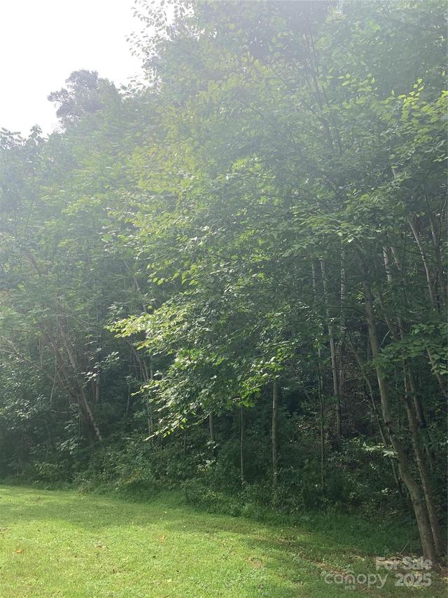 147 W Splitrail Dr. #5, Hendersonville, NC 28792