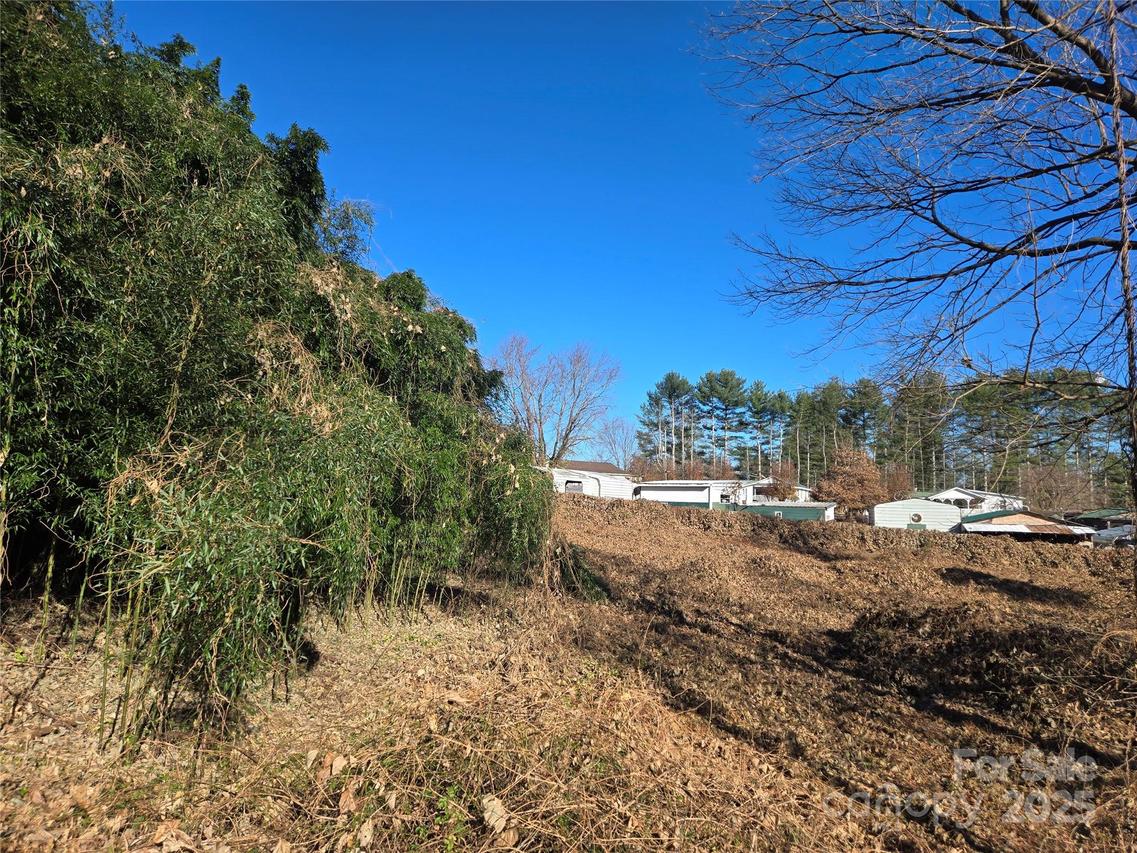 73 Trailing Vine Ln., East Flat Rock, NC 28726