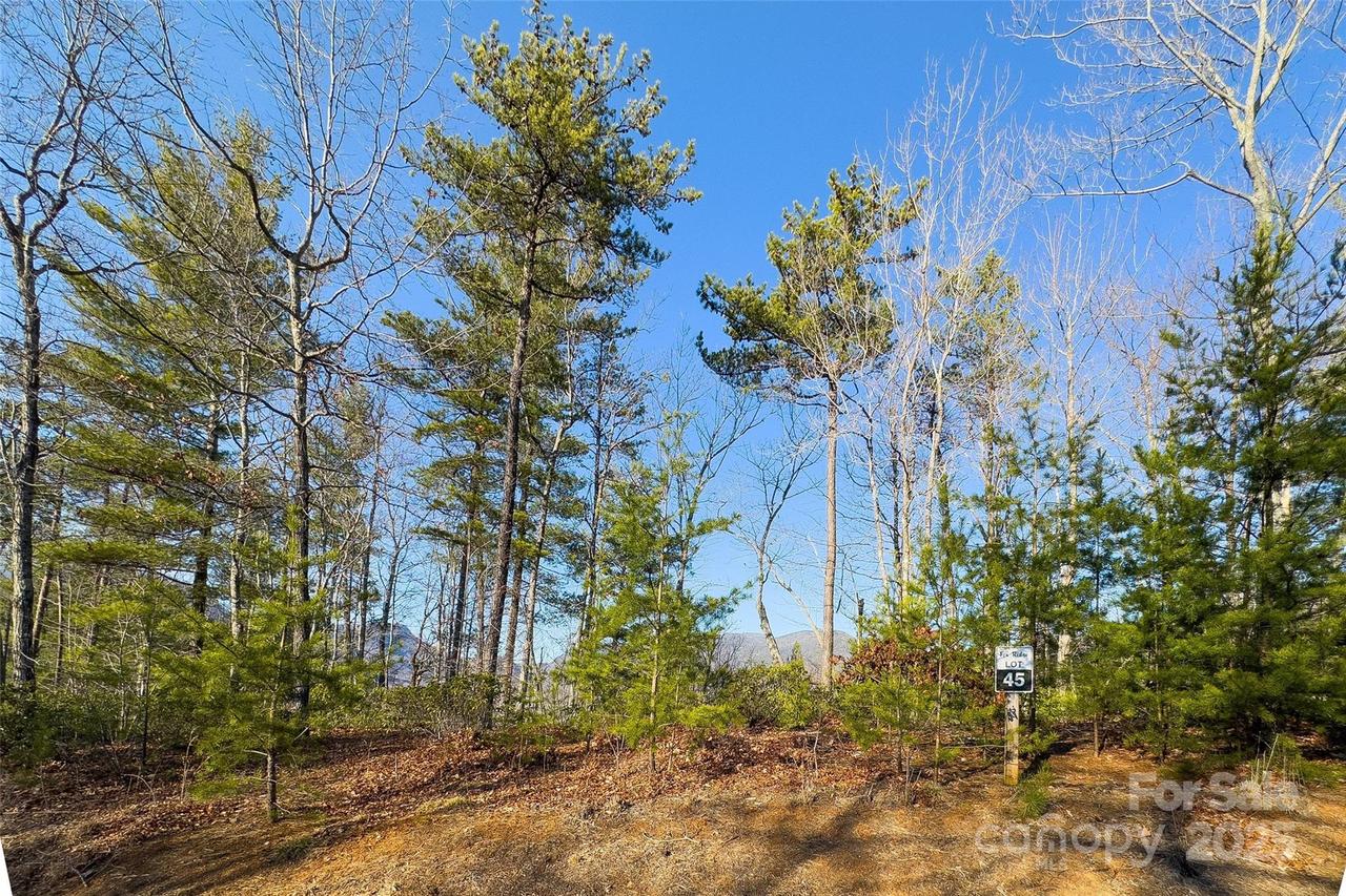 Lot #45 Fox Ridge Tr., Marion, NC 28752