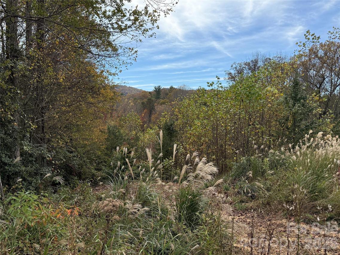 Lot # 3 West Legacy Dr. #3, Hendersonville, NC 28739