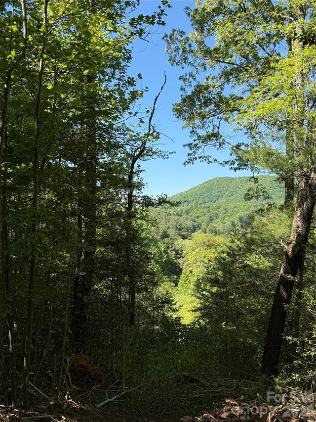 Lot # 3 West Legacy Dr. #3, Hendersonville, NC 28739