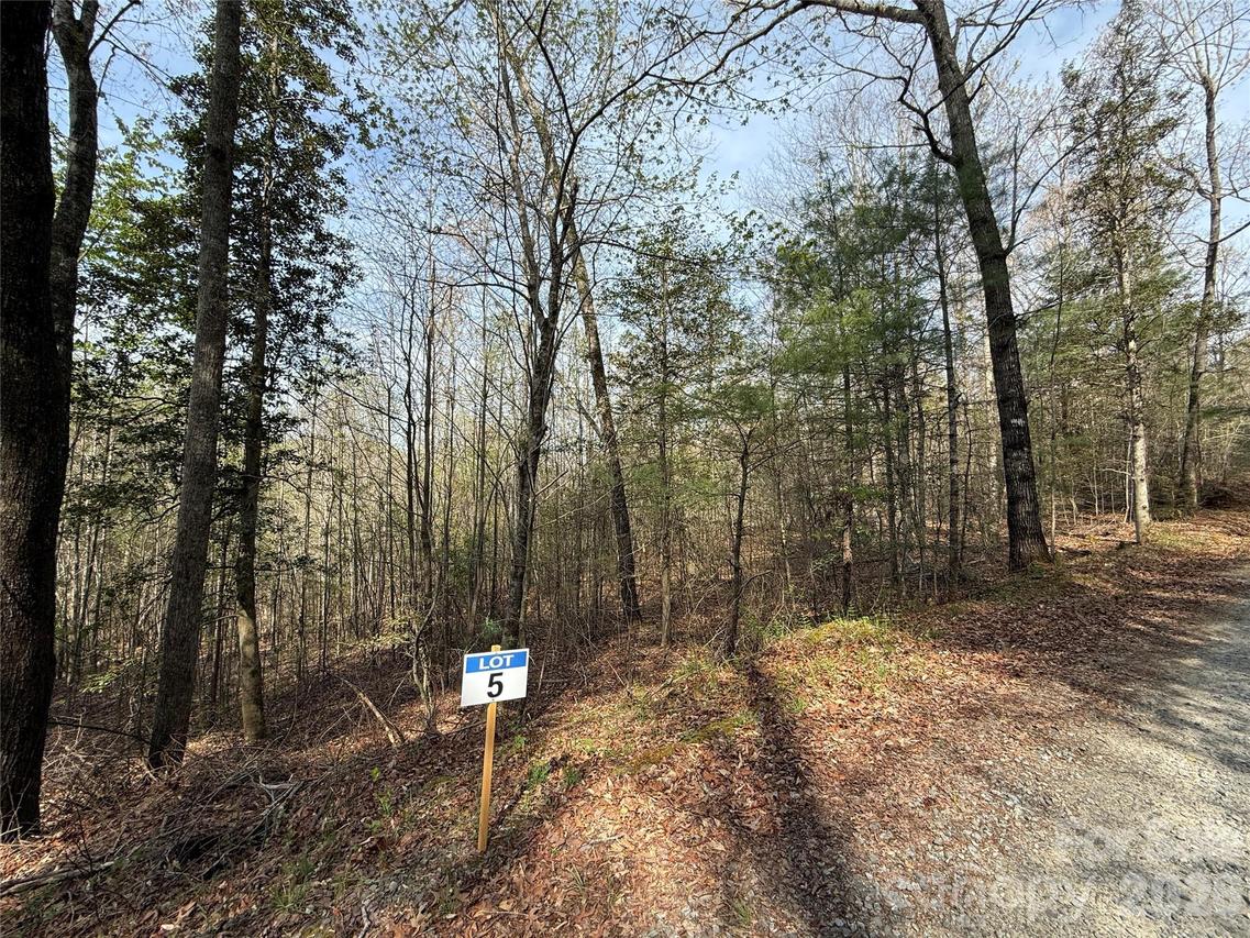 Lot # 5 West Legacy Dr. #5, Hendersonville, NC 28739