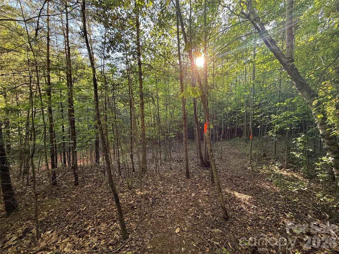 Lot # 5 West Legacy Dr. #5, Hendersonville, NC 28739