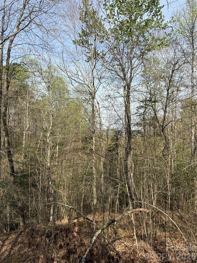 Lot # 6 West Legacy Dr. #6, Hendersonville, NC 28739
