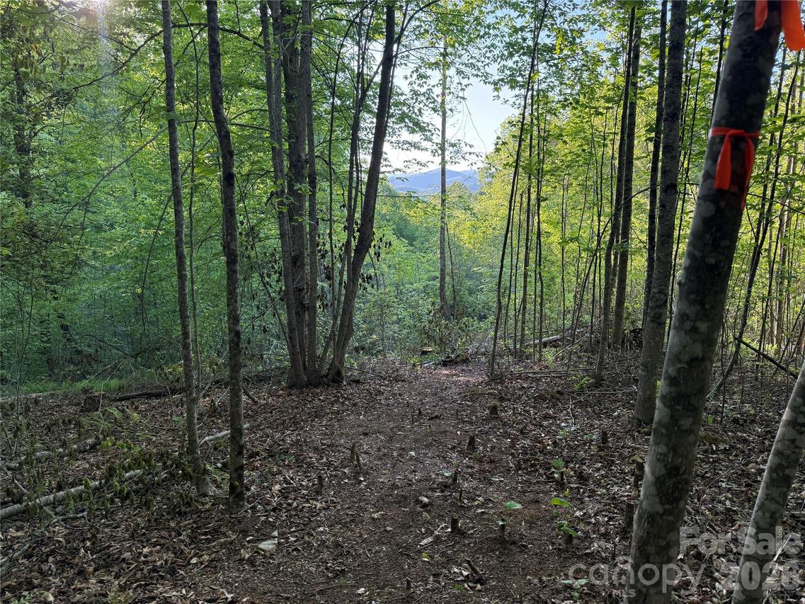 Lot # 7 West Legacy Dr. #7, Hendersonville, NC 28739