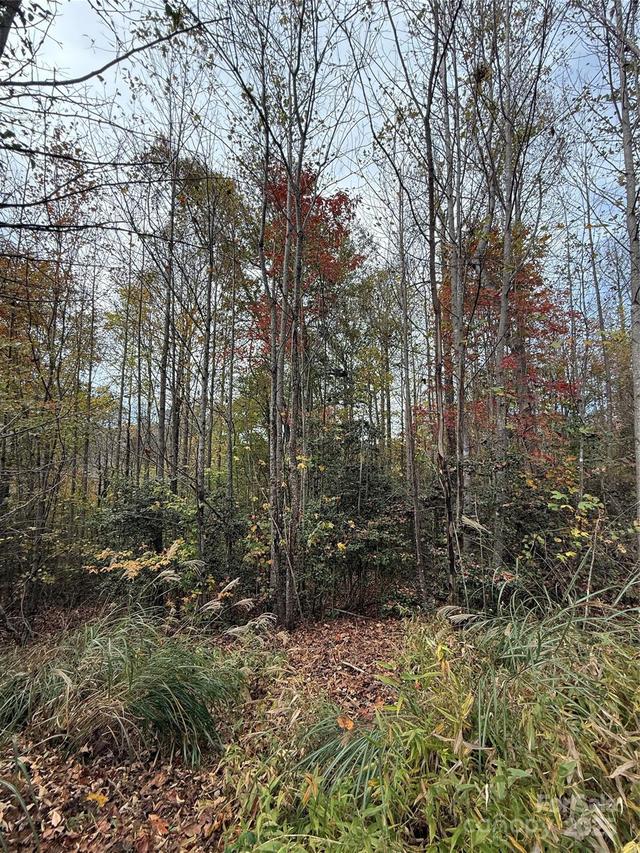 Lot # 7 West Legacy Dr. #7, Hendersonville, NC 28739