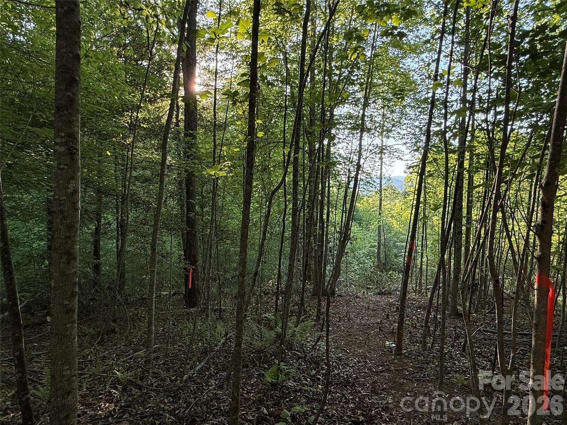 Lot # 7 West Legacy Dr. #7, Hendersonville, NC 28739