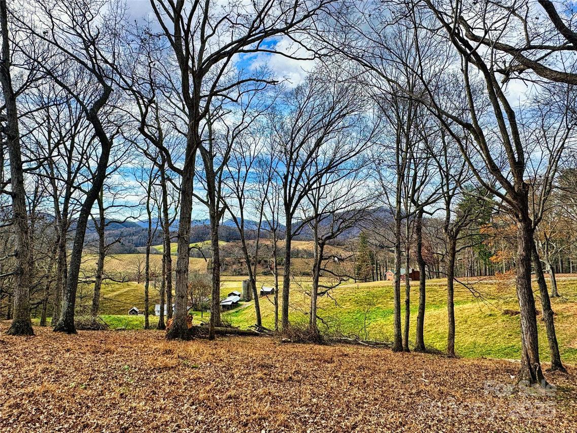 99999 Old Newfound Rd., Leicester, NC 28748