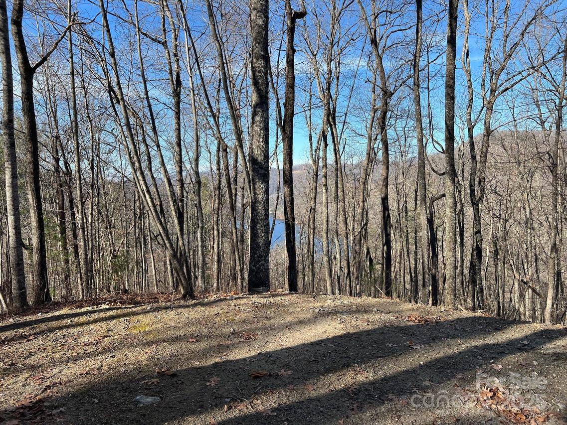 762 Scarlet Oak Rd., Tuckasegee, NC 28783