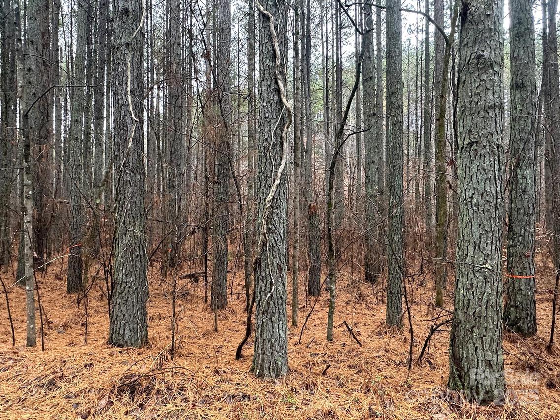 Frog Creek Rd., Union Mills, NC 28167