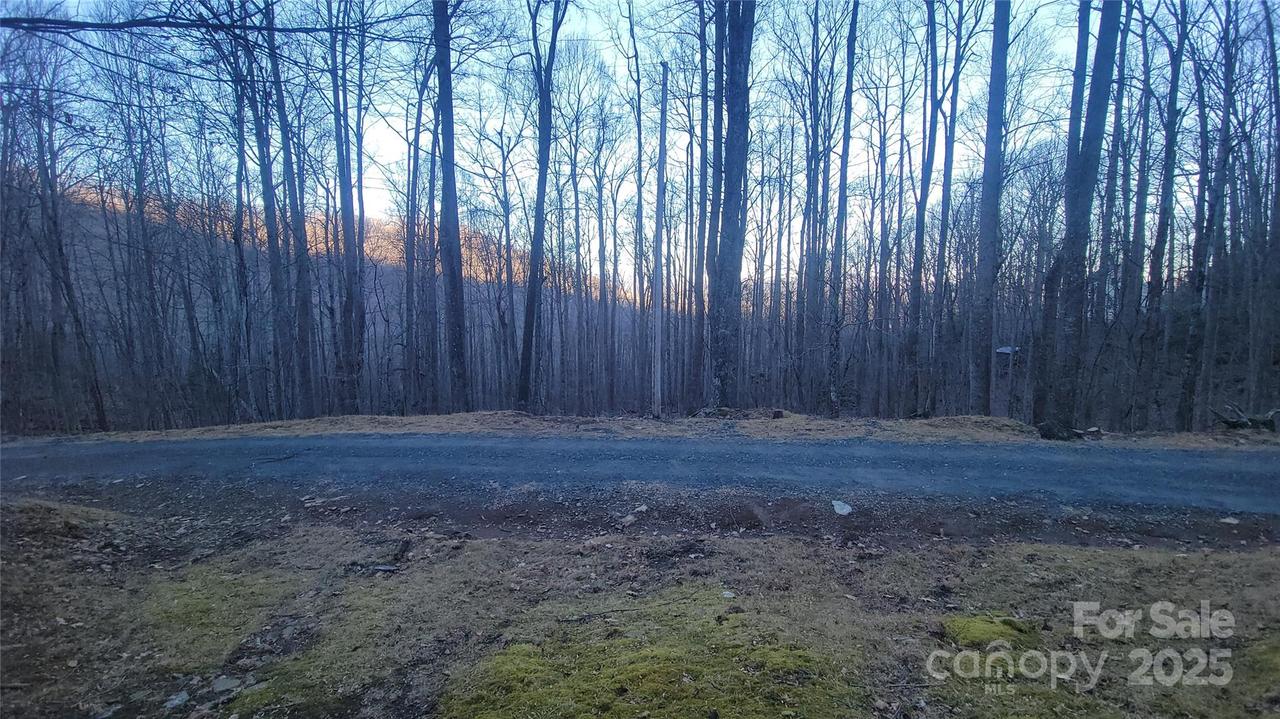 Lot 7B Hickory Springs Rd. #7B, Burnsville, NC 28714