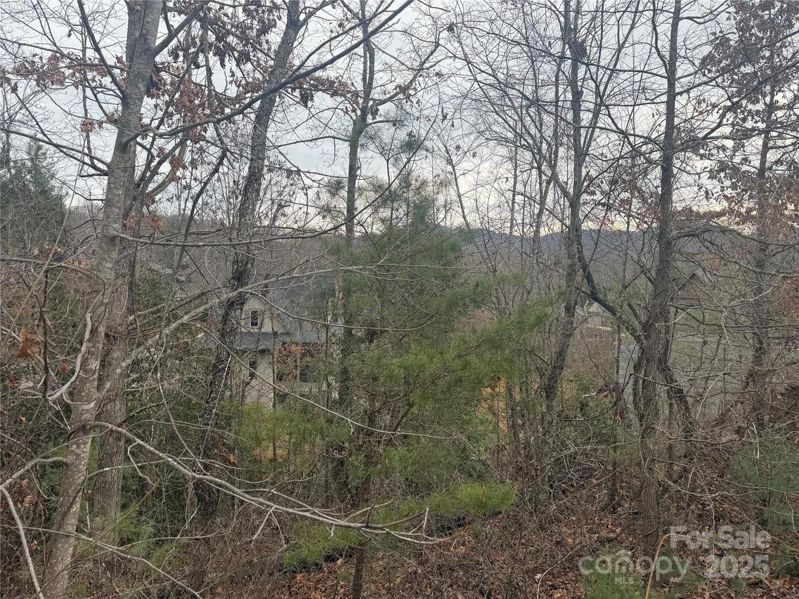 51 Versailles Ln., Asheville, NC 28804