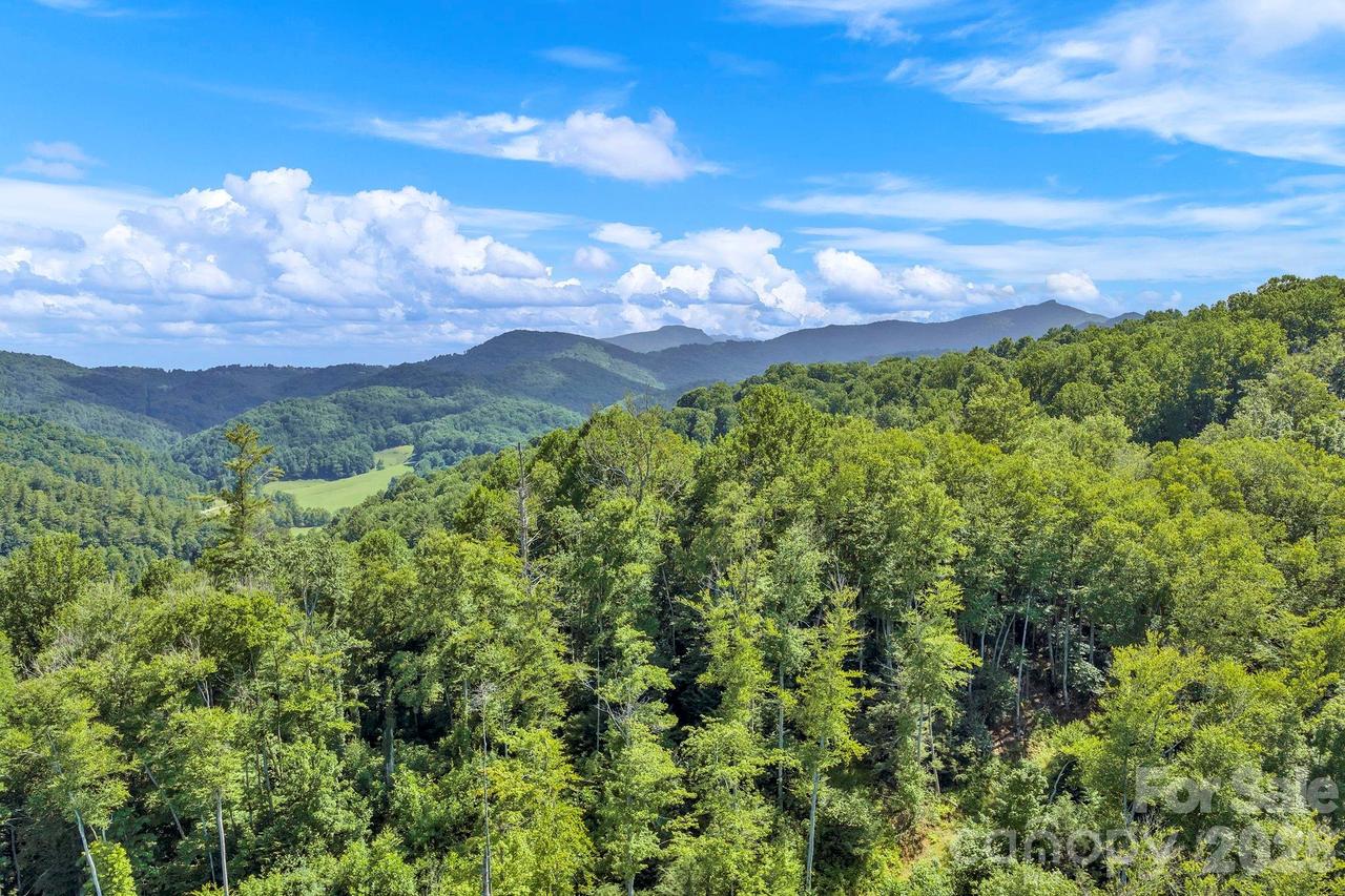 3606 Nc Highway 194 None, Sugar Grove, NC 28679