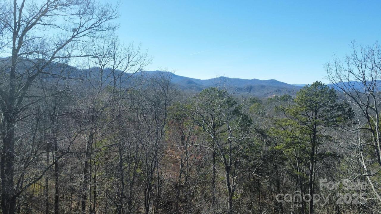 000 Hornet Dr., Whittier, NC 28789