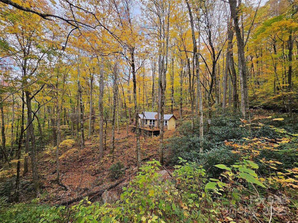 25 Hollow Log Rd., Burnsville, NC 28714