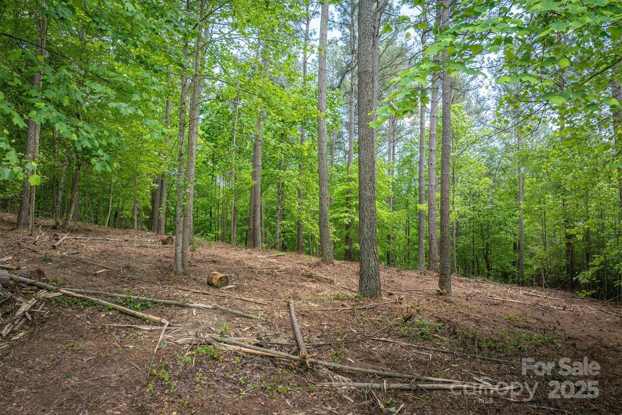 212 Harbor Ridge Dr., Connelly Springs, NC 28612