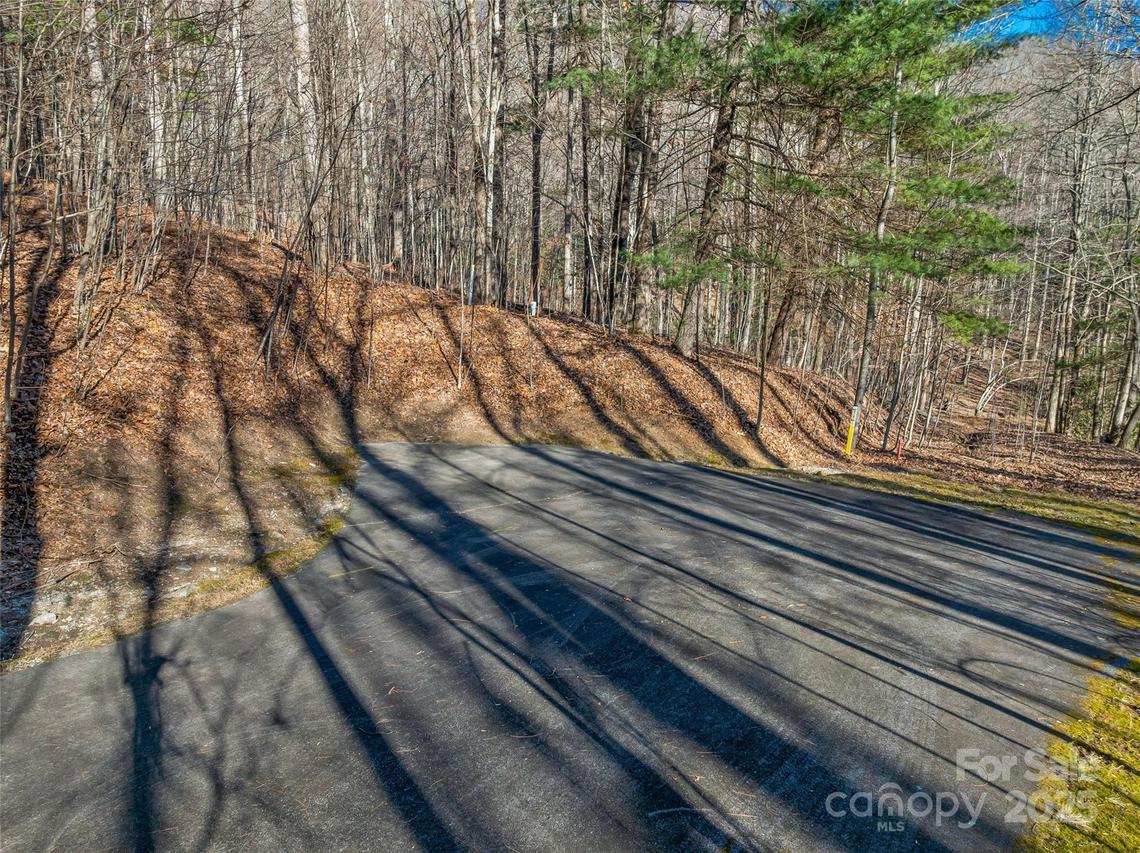 TBD Ladys Fern Tr. #10, Laurel Park, NC 28739