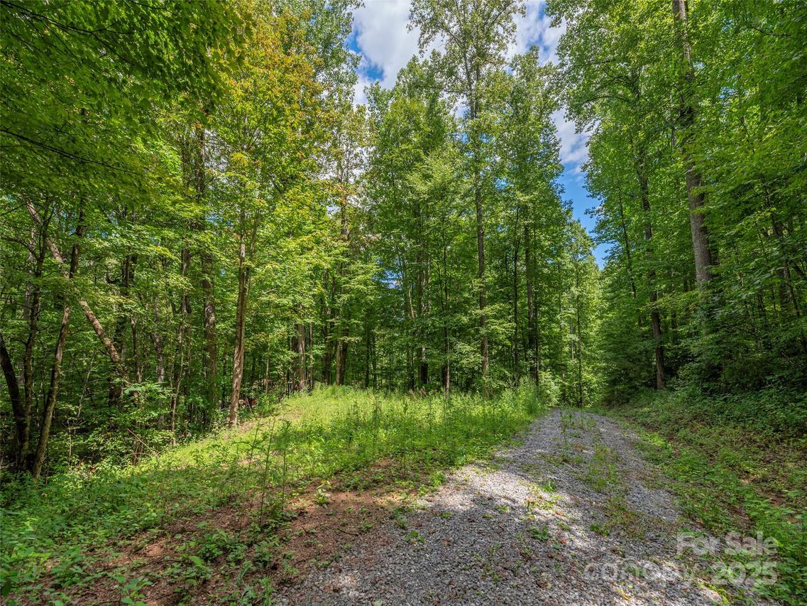 000 Flowing Brook Ln. #3, Waynesville, NC 28786