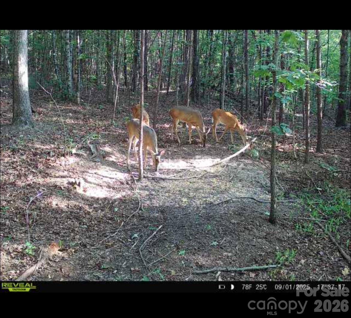 V/L Southern Way, Nebo, NC 28761