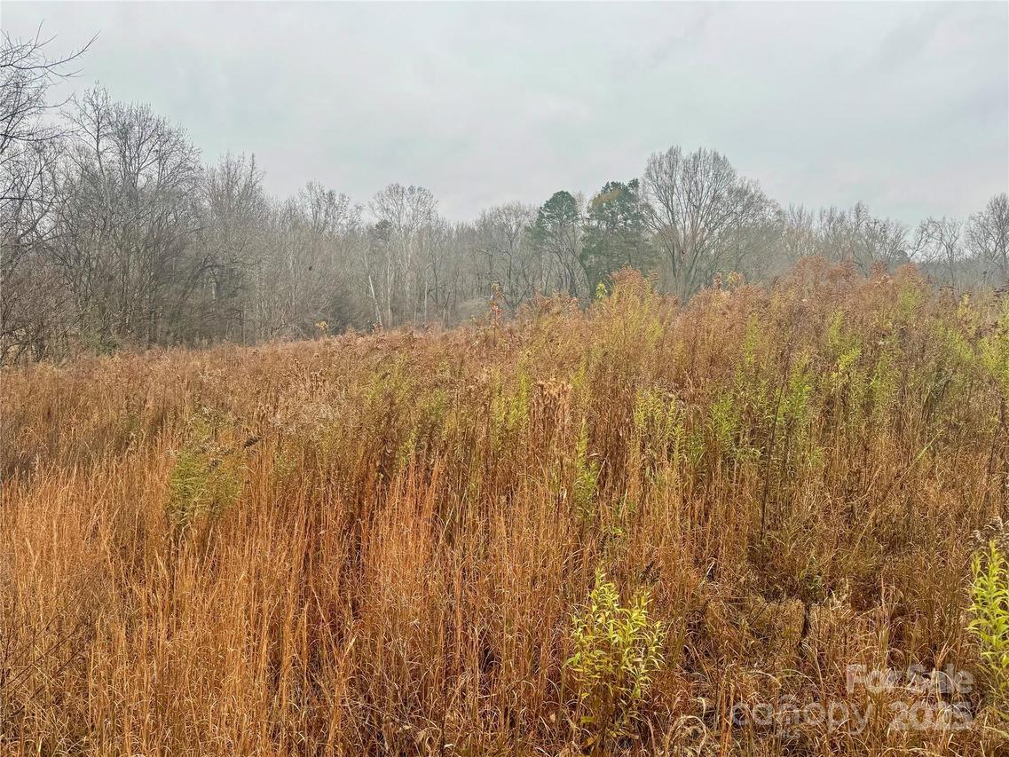 Lot 1B Mallory Ln. #1B, Mount Pleasant, NC 28124