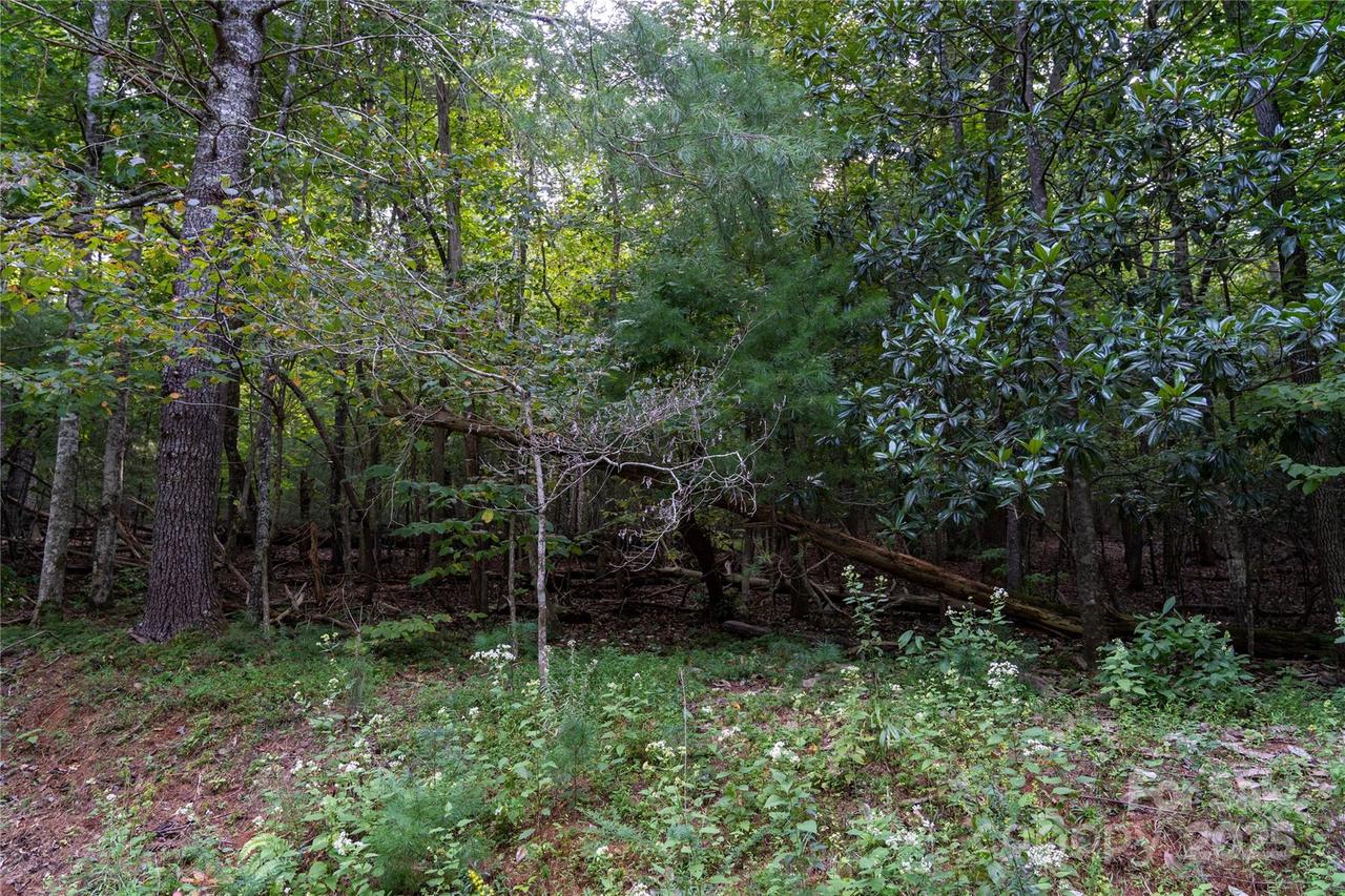 Swans Way #249&250, Lake Lure, NC 28746