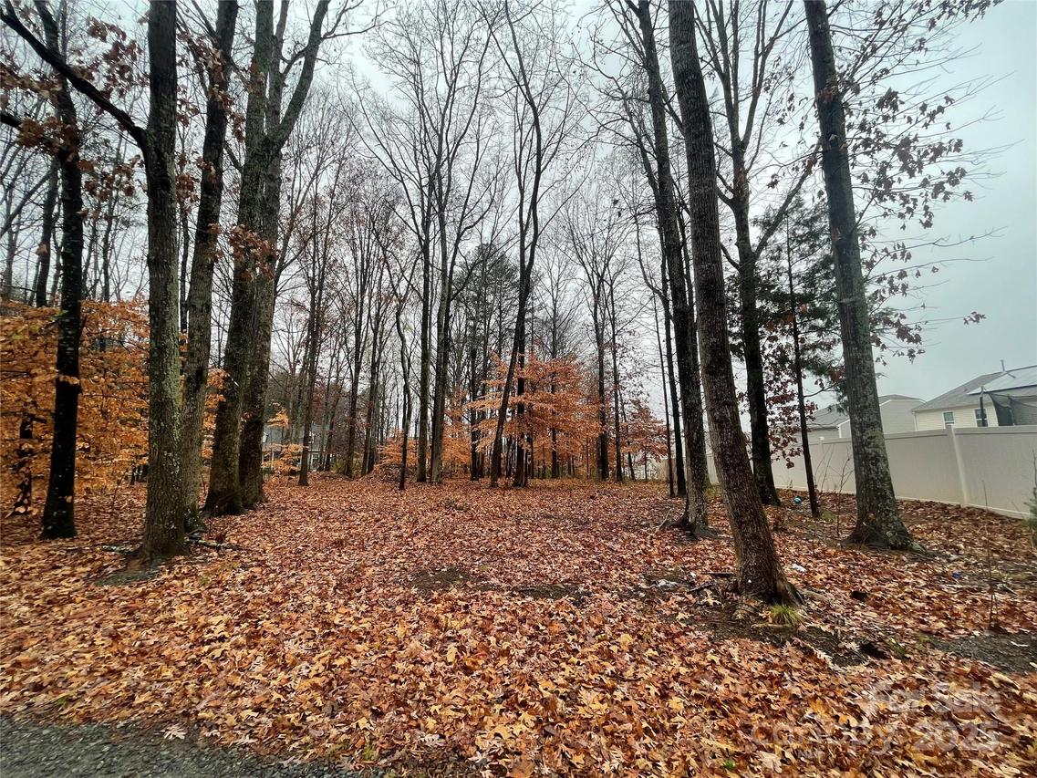 8225 Teeter Dr., Charlotte, NC 28215