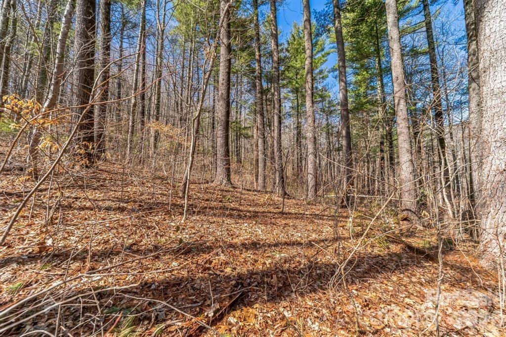 99999 Mill Rd. #2, Asheville, NC 28805