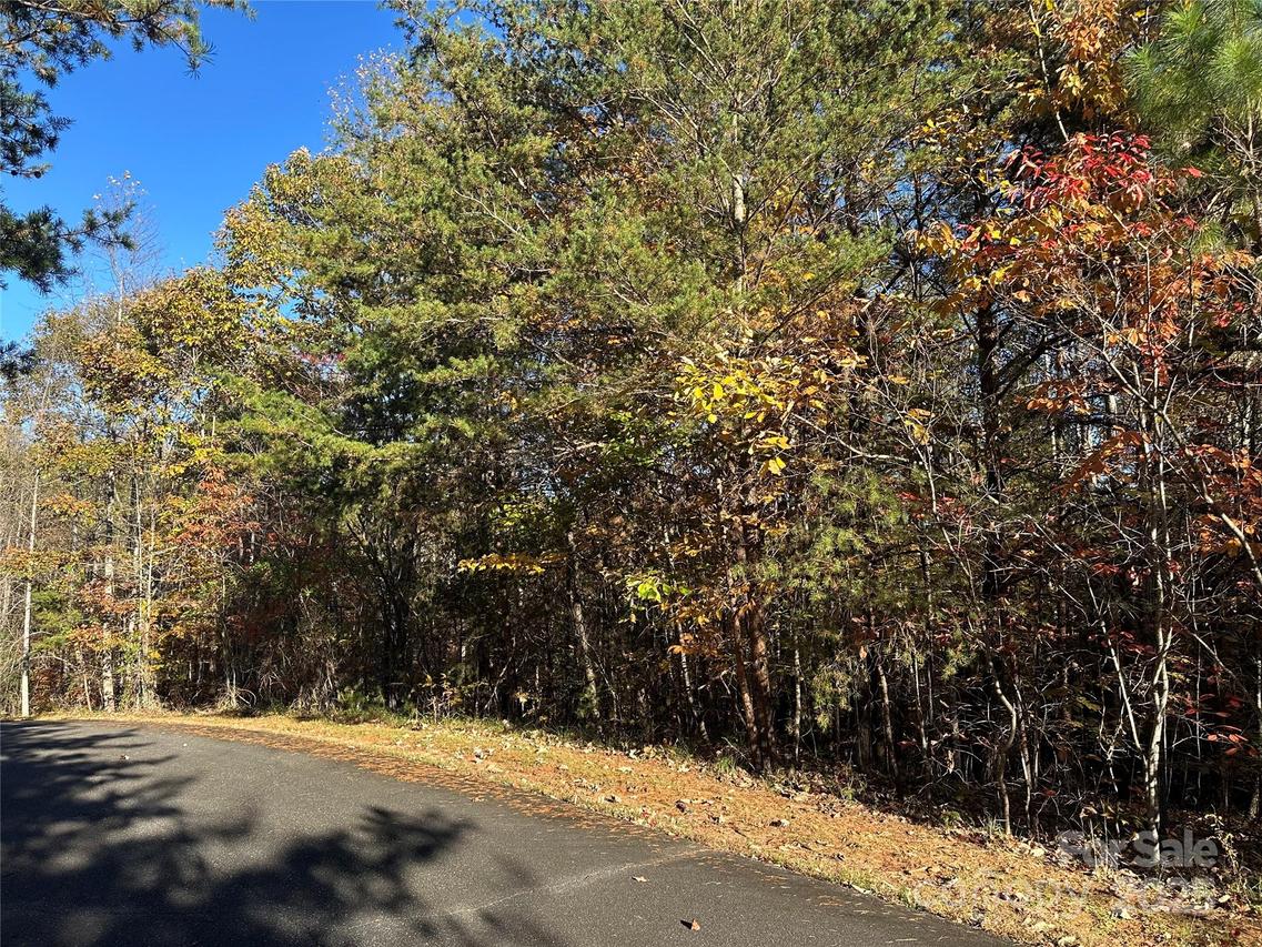 Rock Ledge Dr. #339, Lake Lure, NC 28746